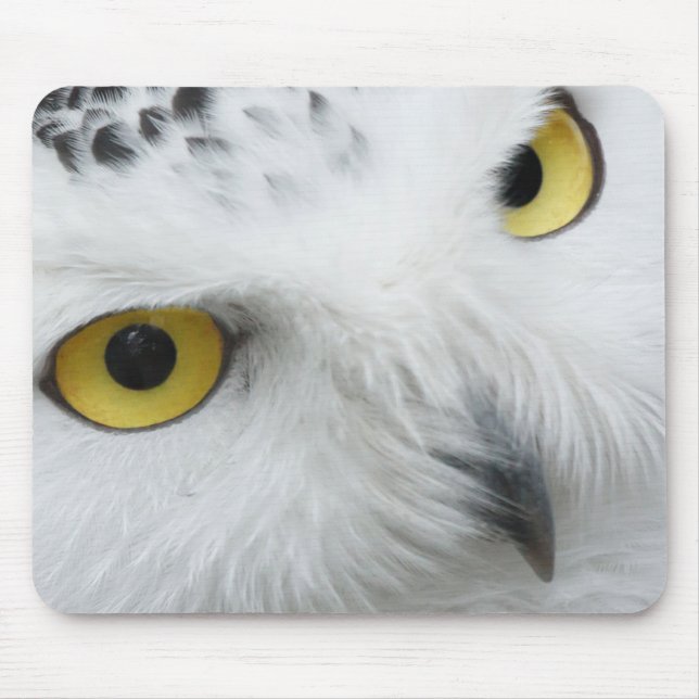 Mousepad Olhos de Coruja da Neve (Frente)