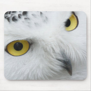 Mousepad Olhos de Coruja de Neve