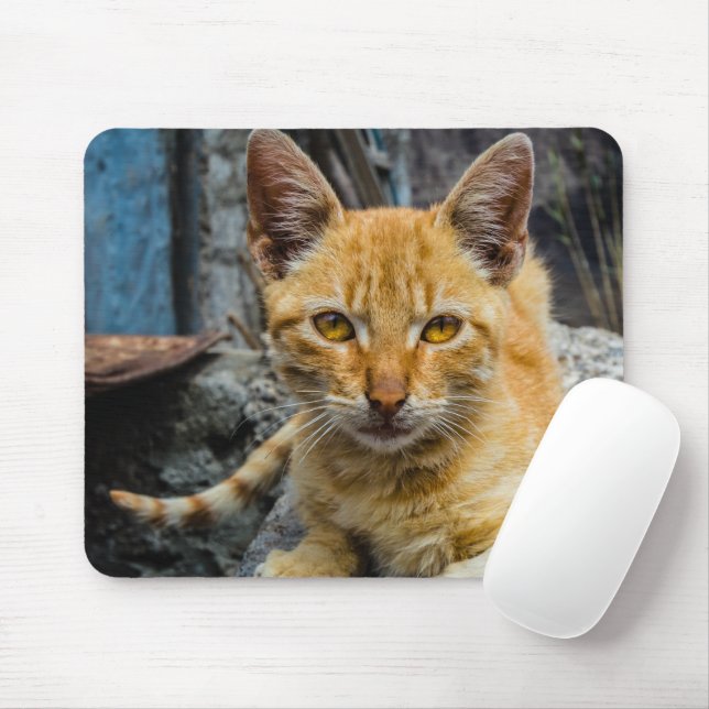 Mousepad Olhos de ouro (Com mouse)