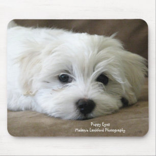 Mousepad Olhos do filhote de cachorro