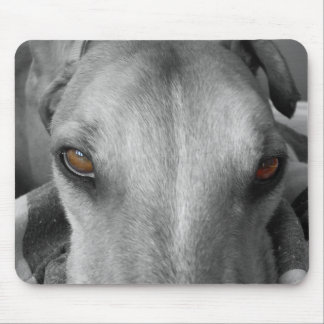Mousepad Olhos do galgo