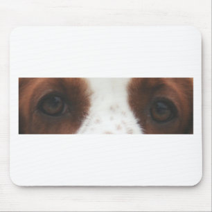 Mousepad olhos do spaniel de springer de galês