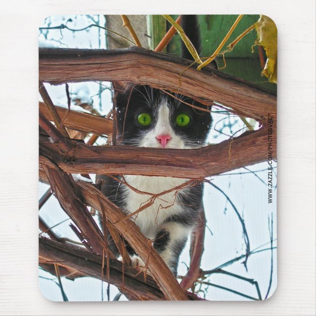 Mousepad Olhos Verdes (Frente)
