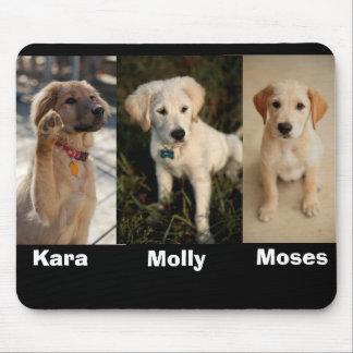 Mousepad Onda de Kara, Moses, Molly mais novo, Moses,