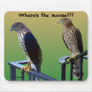 Mousepad "Onde é o rato???" Falcões
