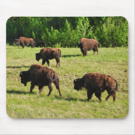 Mousepad Onde o Bison Roam