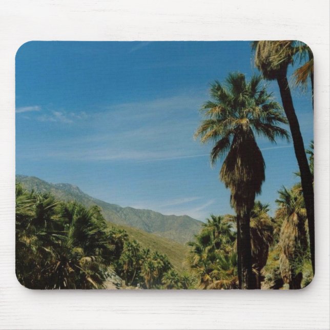 Mousepad Opinião do Palm Springs (Frente)