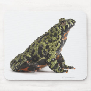 Mousepad Opinião lateral fogo oriental um sapo inchado