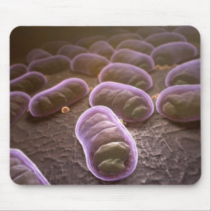 Mousepad Opinião microscópica as bactérias