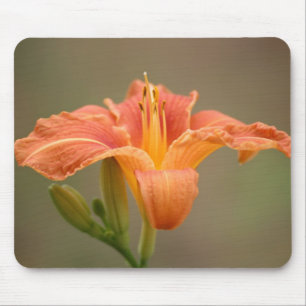 Mousepad Orange asiatische Lilie