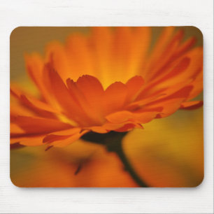 Mousepad Orange Beauty