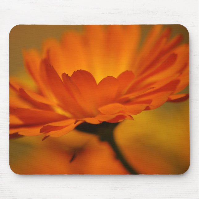 Mousepad Orange Beauty (Frente)