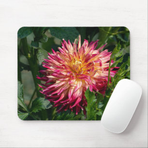 Mousepad Orange Chrysanthemum Photoographic, Flor Canadense