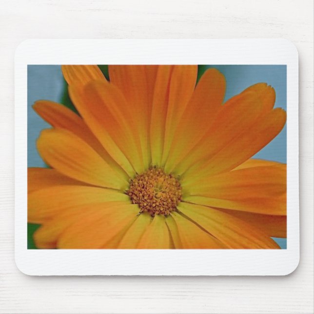 Mousepad Orange Gerber Daisy (Frente)