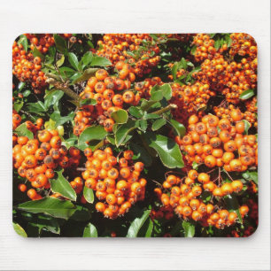 Mousepad Orange Holly Berries