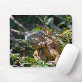 Mousepad Orange Iguana, Fotografia do Wildlife Lizard