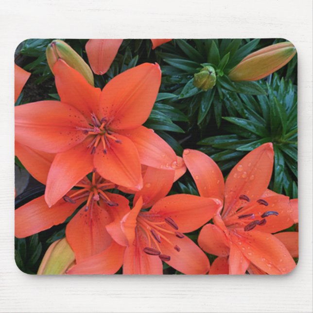 Mousepad Orange Lily (Frente)