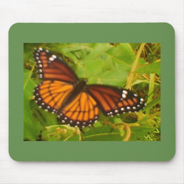 Mousepad Orange Monarch (Frente)