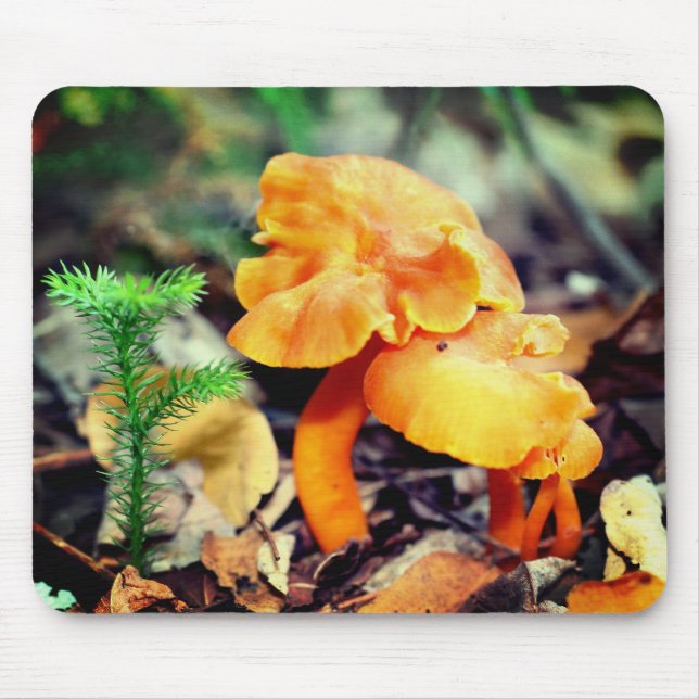 Mousepad Orange Mushroom Nature (Frente)