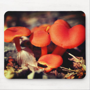Mousepad Orange Red Mushroom Nature