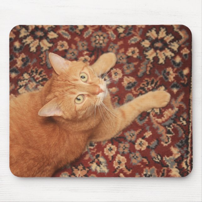 Mousepad Orange Tabby (Frente)