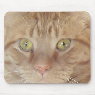 Mousepad Orange Tabby Cat