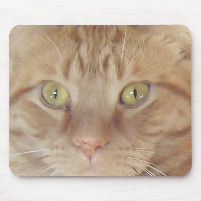 Mousepad Orange Tabby Cat (Frente)