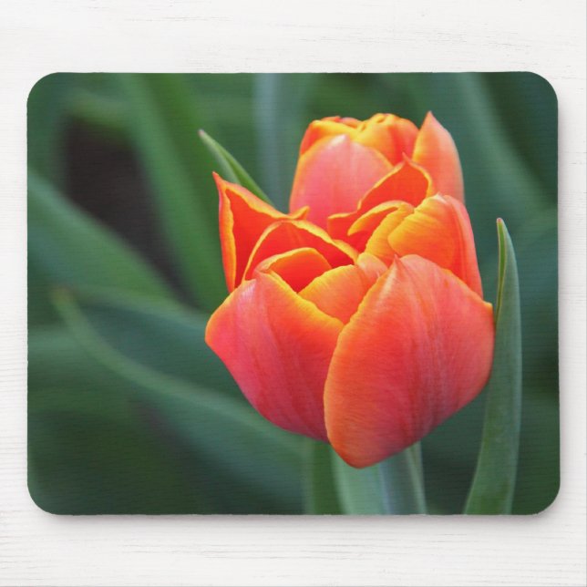 Mousepad Orange Tulip (Frente)
