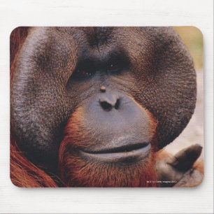 Mousepad Orangotango