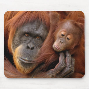 Mousepad Orangotango da mãe & do bebê