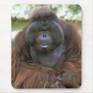 Mousepad Orangotango Pongo Pygmaeus