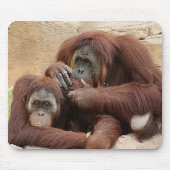 Mousepad Orangutanos (Frente)