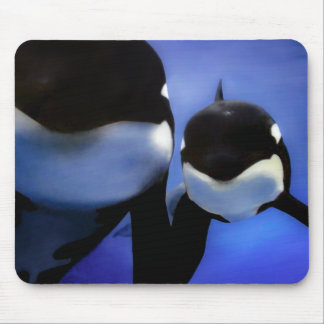 Mousepad Orca