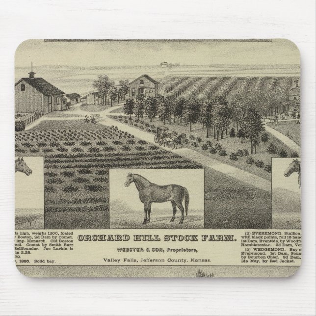 Mousepad Orchard Hill e Cedar Grove, Kansas (Frente)
