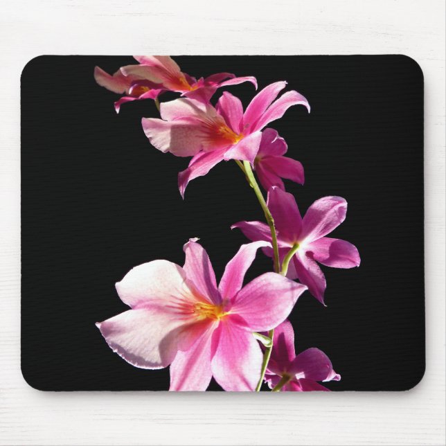 Mousepad Orchid. cor-de-rosa (Frente)
