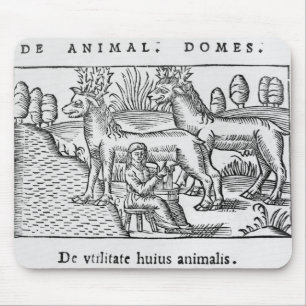 Mousepad Ordenhando renas