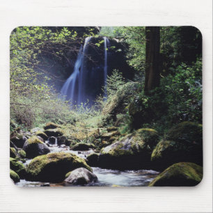 Mousepad Oregon, Floresta Nacional Siskiyou, Elk Creek
