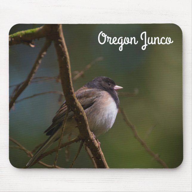 Mousepad Oregon Junco (Frente)