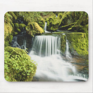 Mousepad Oregon, Waterfall no Willamette