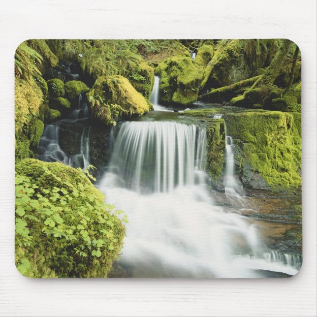 Mousepad Oregon, Waterfall no Willamette (Frente)