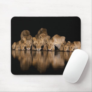 Mousepad Orgulho de Leões Bebe no Buraco de Água à Noite