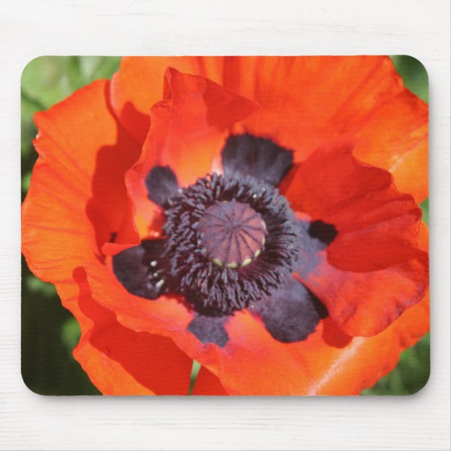 Mousepad Oriental Poppy Flower (Frente)