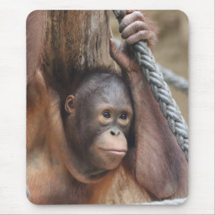 Mousepad OringUtan 002