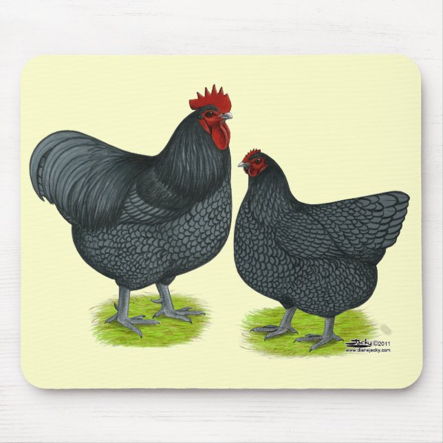 Mousepad Orpington: Par Azul (Frente)