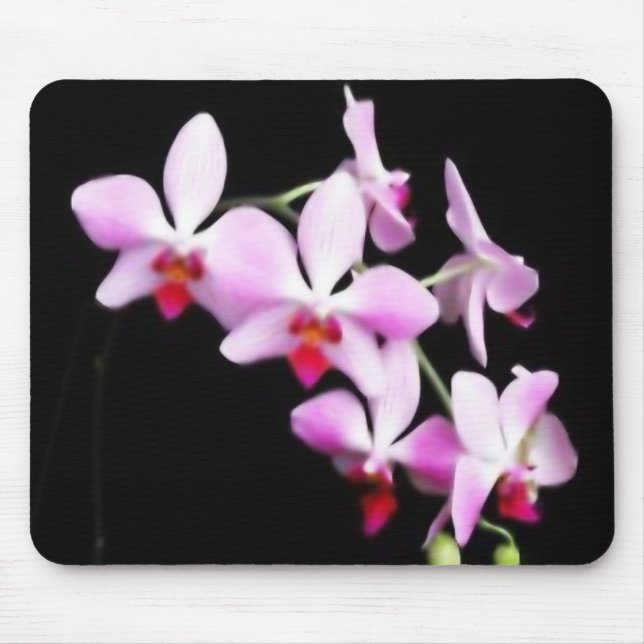 Mousepad Orquídea (Frente)