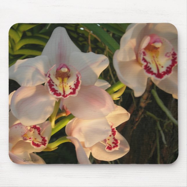 Mousepad Orquídea (Frente)