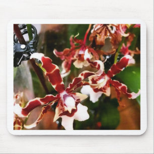 Mousepad Orquídea