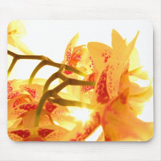 Mousepad Orquídea (Frente)