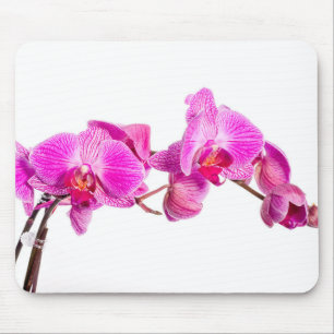 Mousepad Orquídea