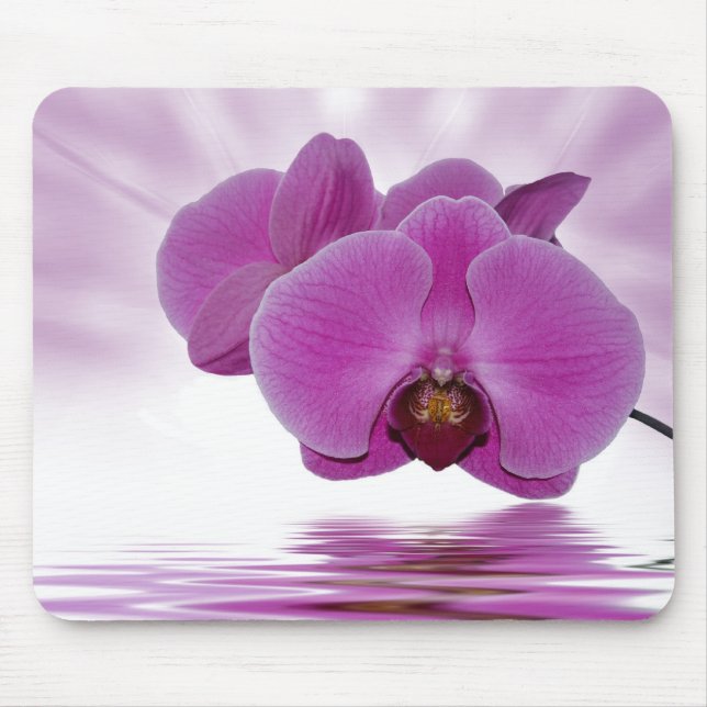Mousepad Orquídea Aurora (Frente)
